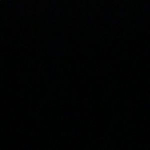 Meet your Posher, Bella